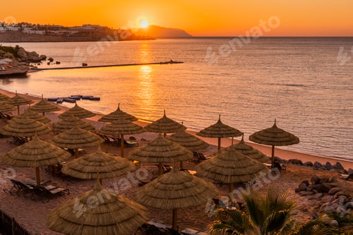 Preview: Sunset at the beach with palm trees, parasols and sunbeds.
