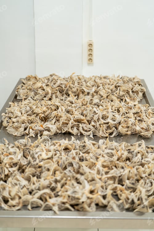 Preview: Raw edible bird's nest materials