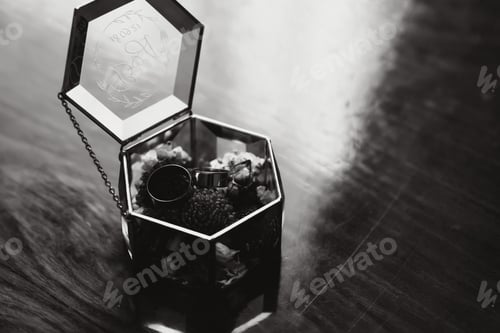 Preview: Elegant wedding rings for the bride and groom on a black background with highlights