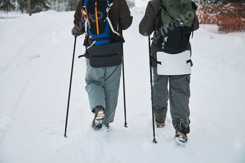Preview: Couple Trekking with Poles on Snowy Winter Trail