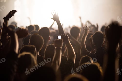 Preview: Rear view of festival crowd raising their hands