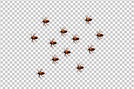 Preview: Cockroaches 3D Icon