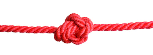 Preview: Red rope with knot on white background