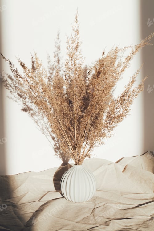 Preview: Pampas grass in vase on white background and crumpled linen with deep shadow. natural background.