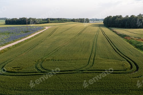 Preview: Aerial View of Lush Green Field