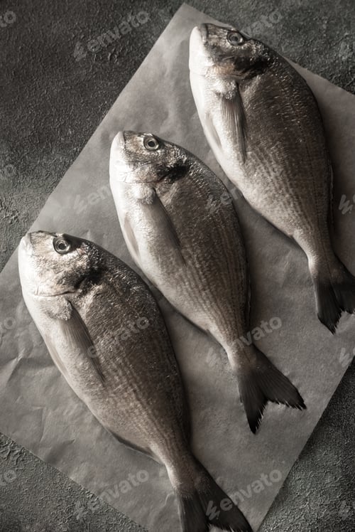 Preview: Sea bream (dorada) fish