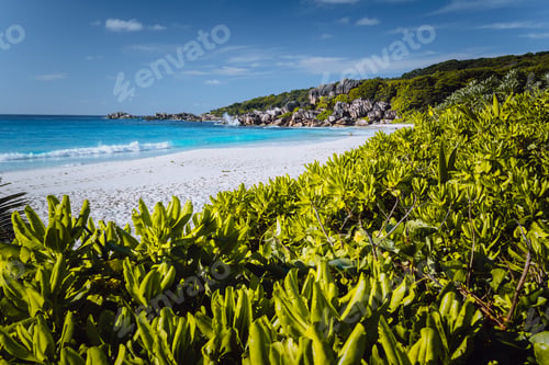 Preview: Grand Anse beach at La Digue island in Seychelles. White sandy beach with blue ocean lagoon. Green