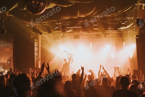 Preview: Fans cheering in a concert