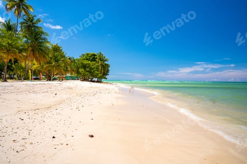Preview: Tobago cays in St-Vincent and the Grenadines in the Caribbean islands