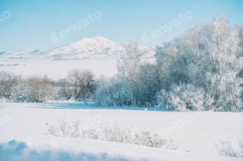 Preview: Snow field in front of forest and mountains