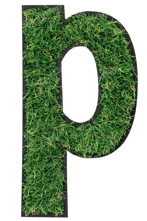 Vista previa: Letter P made of green grass isolated on white.
