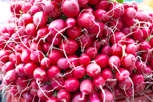 Preview: Fresh vegetables on the market