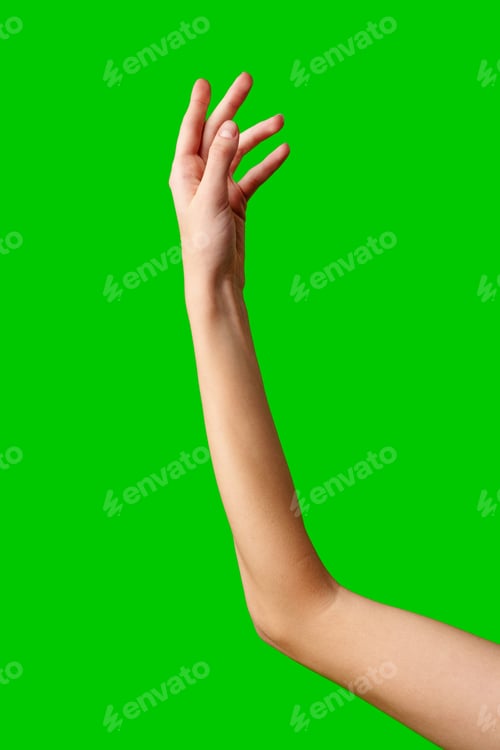 Preview: Hand Reaching Up on Green Background