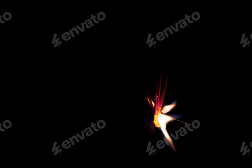 Preview: Summer Fireworks - Simple Sparkle
