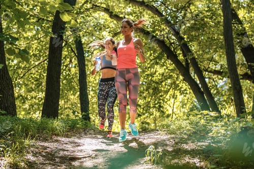 Preview: Jogging in the nature