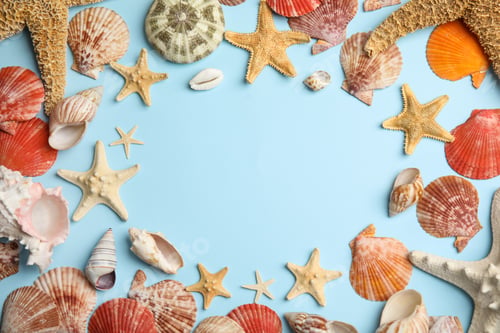 Preview: Frame of beautiful sea stars and shells on light blue background, flat lay. Space for text