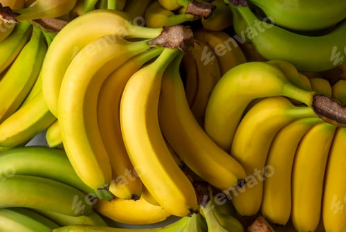 Preview: Bunch of Raw Organic Bananas Ready to Eat