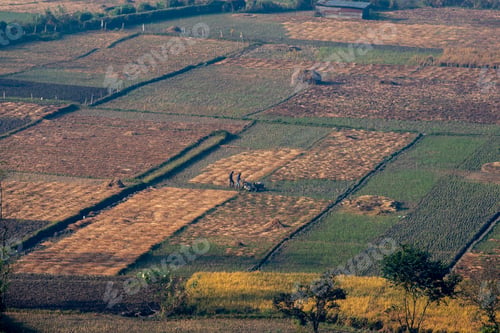 Preview: Country side farming