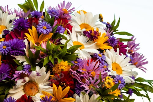 Preview: Bouquet from a camomile and other flowers