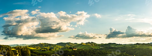 Preview: Vineyards panorama Leibnitz area famous destination wine street in south Styria in summer