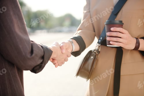 Preview: Two young successful female business partners shaking hands after negotiating