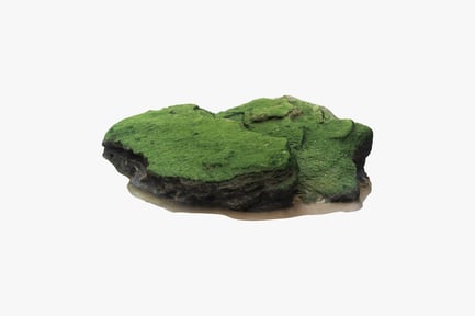 Мшистая известняковая скала