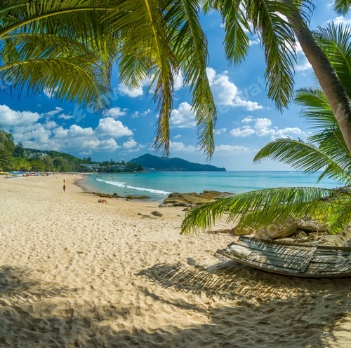 Preview: tropical beach with palms
