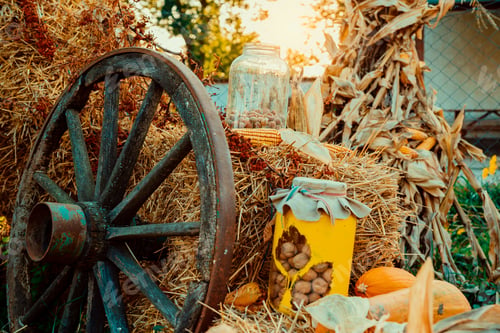 Preview: Autumn vintage decor with pumpkins