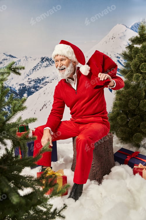 Preview: happy Santa sitting on tree stump with gift bag next to presents and looking away, Merry Christmas
