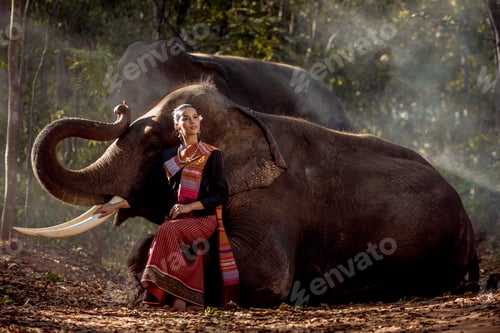 Preview: Elephant and woman in Thailand