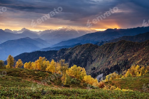 Preview: Autumn landscape and snowy mountain peaks. Birch forest in sunlight. Main Caucasian Ridge. Mountain