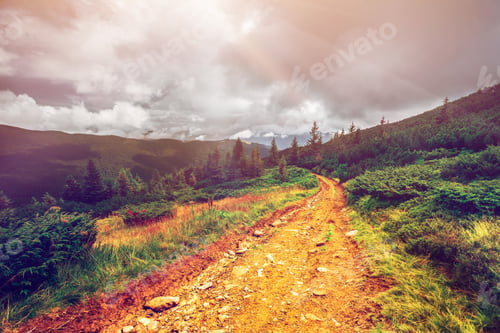 Preview: Mountain path in Carpathians, Ukraine.