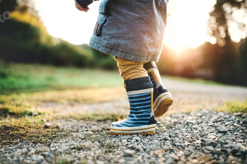 Preview: A little toddler boy walking outdoors in nature at sunset. Rear view.