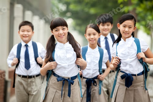 Preview: Lovely schoolchildren in uniform on the way to school