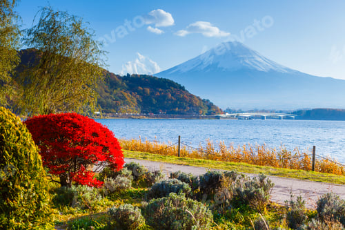 Preview: Mt. Fuji in autumn