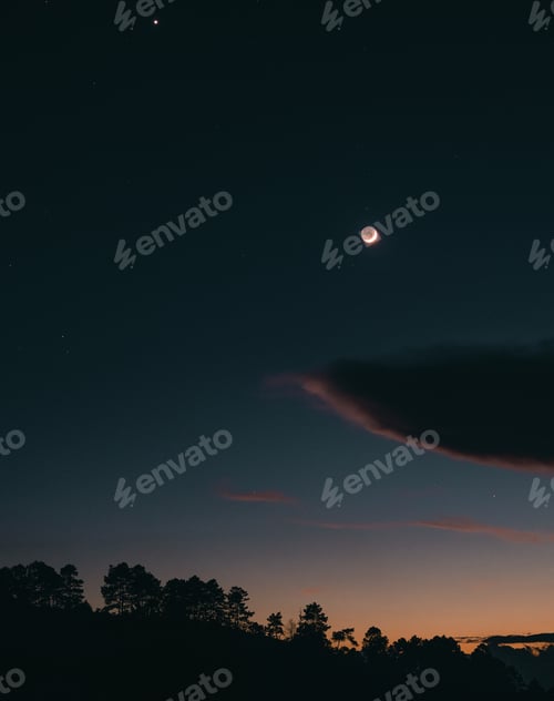 Preview: Milky way and night stars in the fields
