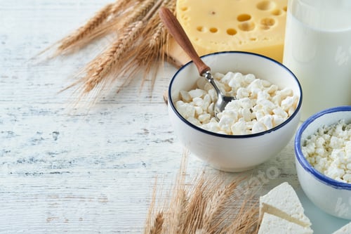 Preview: Shavuot jewish holiday celebration. Kosher fresh dairy products milk and cheese, ripe wheat, cream o