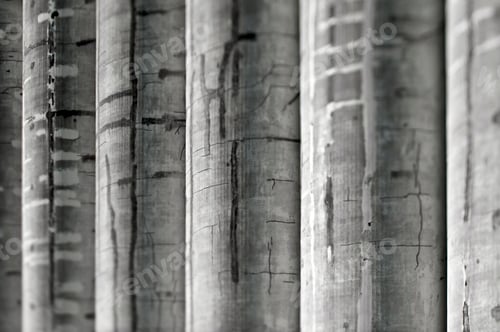 Preview: Weathered corrugated metal close-up.
