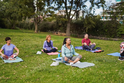 Preview: Multiracial senior people doing yoga meditation at park