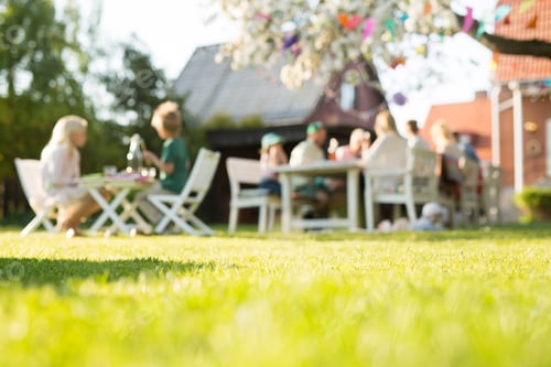 Preview: Family and friends enjoying a sunny backyard gathering