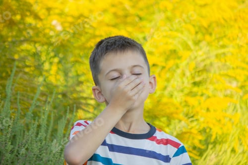 Preview: boy allergic to ragweed. Selective focus