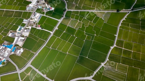 Preview: Beautiful aerial view of lush green rice fields and rural roads in Taiwan during daytime