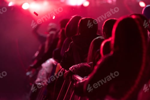 Preview: Rear view of silhouette of crowd with raised arms at a concert. Summer music festival concept