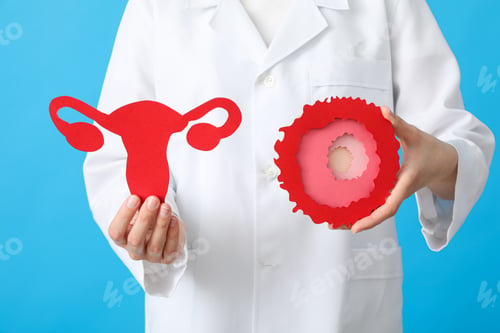 Preview: The concept of fertilization, ovulation period, silhouettes in the hands of a doctor.