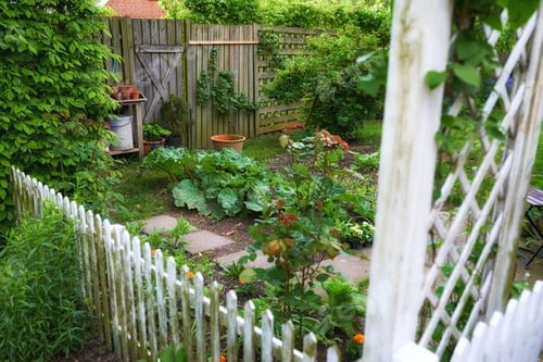 Preview: My private spot in the garden