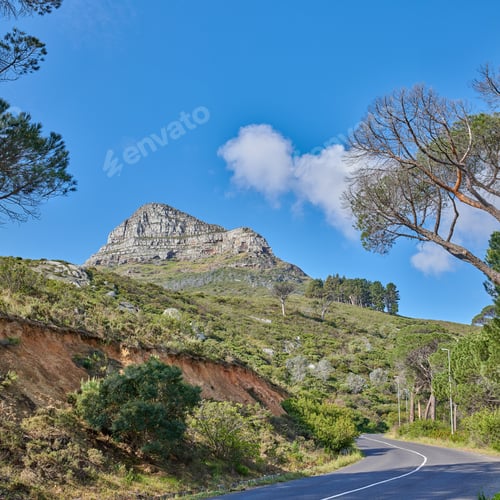 Preview: Lions Head