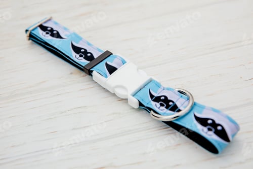 Preview: Dog Collar and Leash set. Pet Supplies and Walking Gear Collection