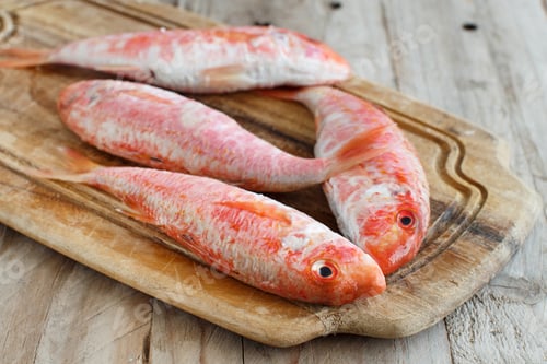 Preview: Fresh raw surmullet fish
