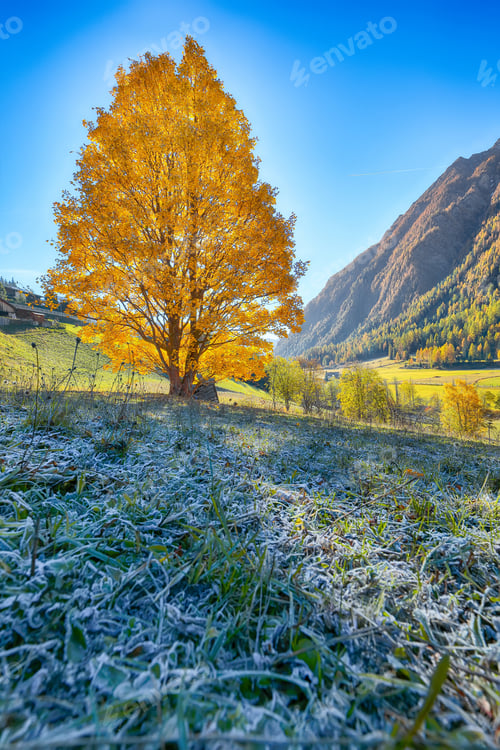 Preview: Breathtaking autumn landscape at Heiligenblut village near Grossglockner mount .