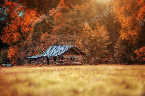 Preview: Wooden house in the autumn forest